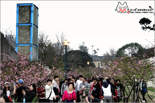 麗池賞櫻 - 024.jpg