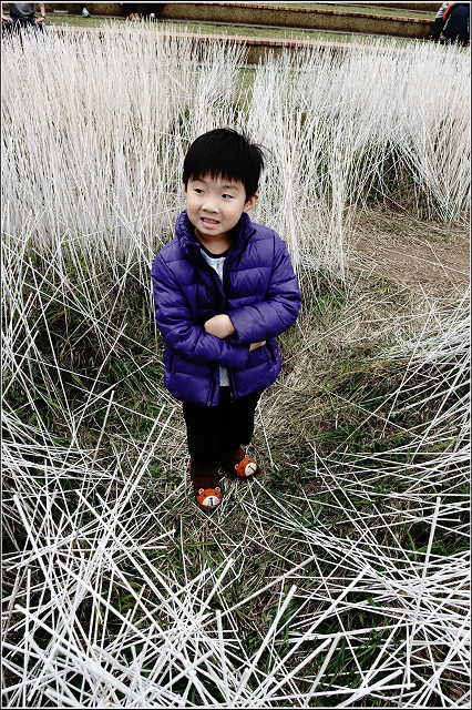 麗池賞櫻 - 012.jpg