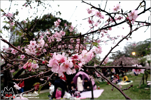 麗池賞櫻 - 018.jpg