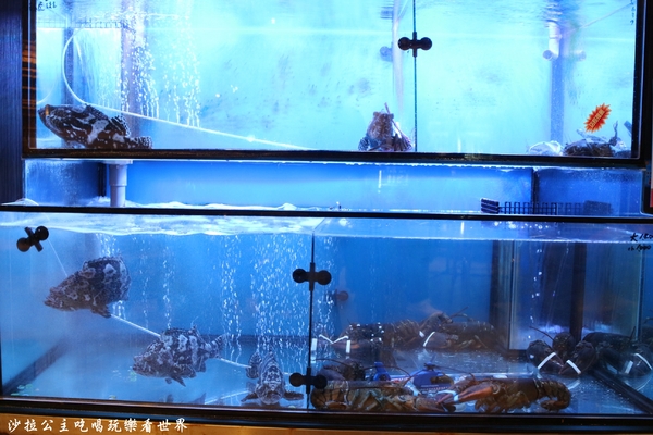 586食堂：台灣古早味『586食堂』台菜料理/聚餐/捷運中山國小站