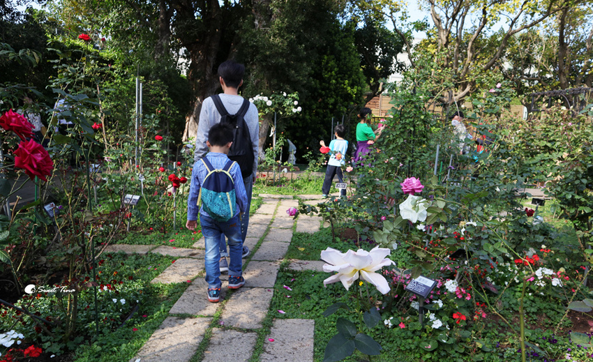 臺北玫瑰園