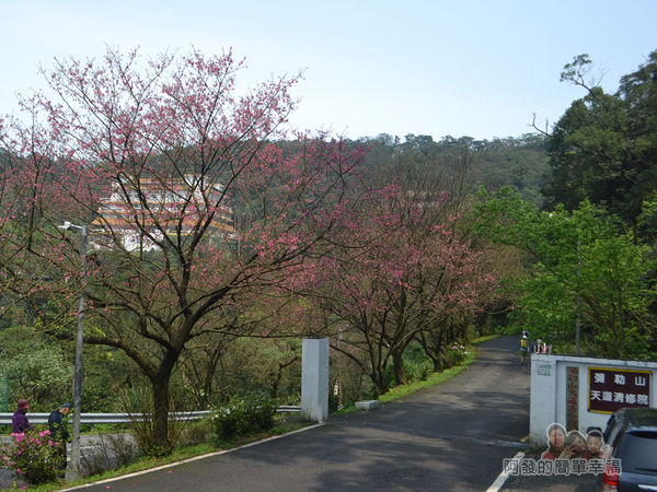 大尖山賞櫻40-勤進路上彌勒山天道清修院的入口