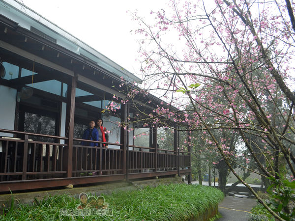 大尖山賞櫻13-珍饡玉膳餐廳側寫