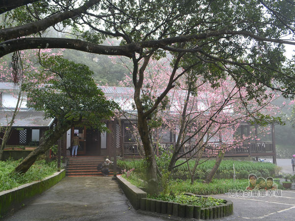 大尖山賞櫻25-珍饡玉膳餐廳入口一景