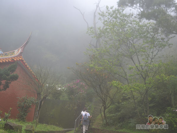 大尖山賞櫻21-登山步道
