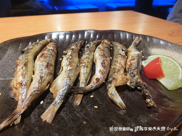 《JB 極品居酒屋》肉食者天堂，超推起司牛丼、天使紅蝦頭有包飯！華視附近巷弄美食，近國父紀念館站，東區美食