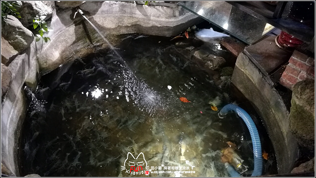 活跳跳活蝦餐廳  (65).jpg