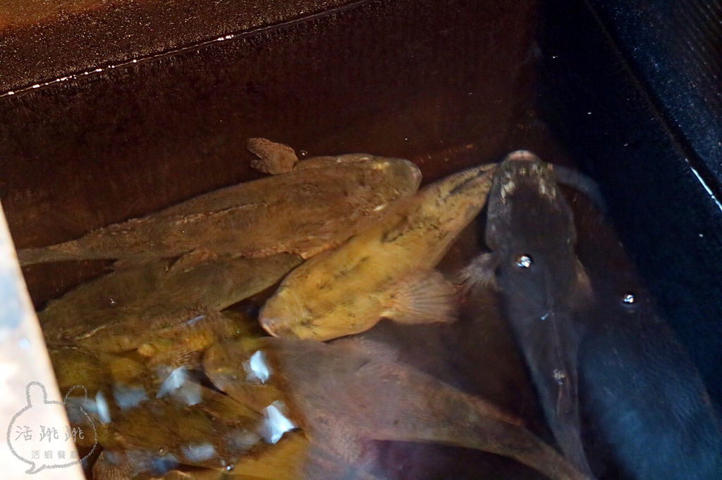 20170415_170415_0057