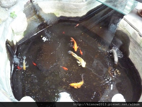 活跳跳活蝦餐廳：份量多又美味,活蝦料理應有儘有-桃園市海鮮餐廳活跳跳活蝦餐廳体驗心得