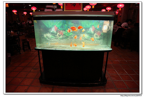 【桃園食記】桃園市‧活跳跳活蝦餐廳(桃園活蝦/桃園活蝦料理/桃園海鮮餐廳) 適合家庭、親友聚餐 附設親子遊戲區