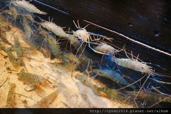 IMG_3120.JPG IMG_3120.JPG