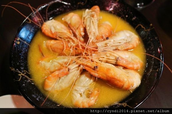 IMG_3123.JPG IMG_3123.JPG