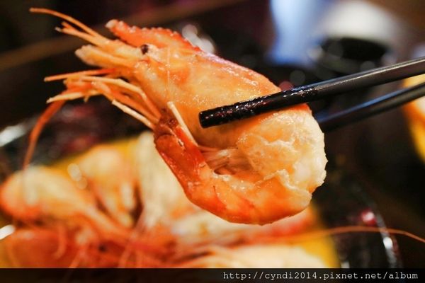 IMG_3124.JPG IMG_3124.JPG