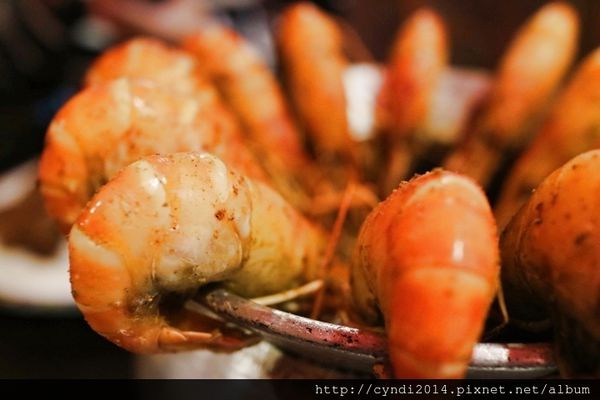 IMG_3134.JPG IMG_3134.JPG