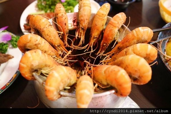 IMG_3132.JPG IMG_3132.JPG