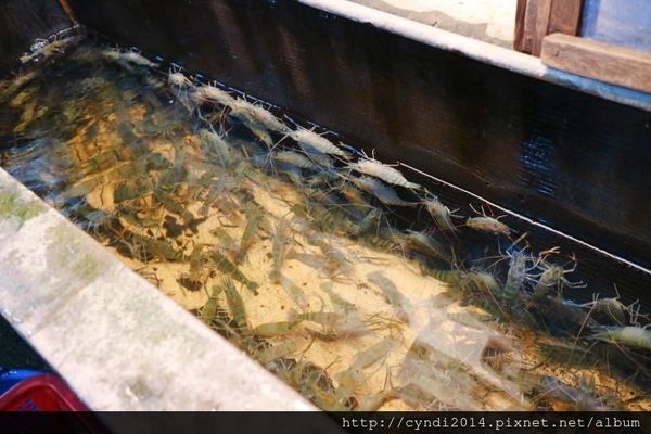 IMG_3119.JPG IMG_3119.JPG