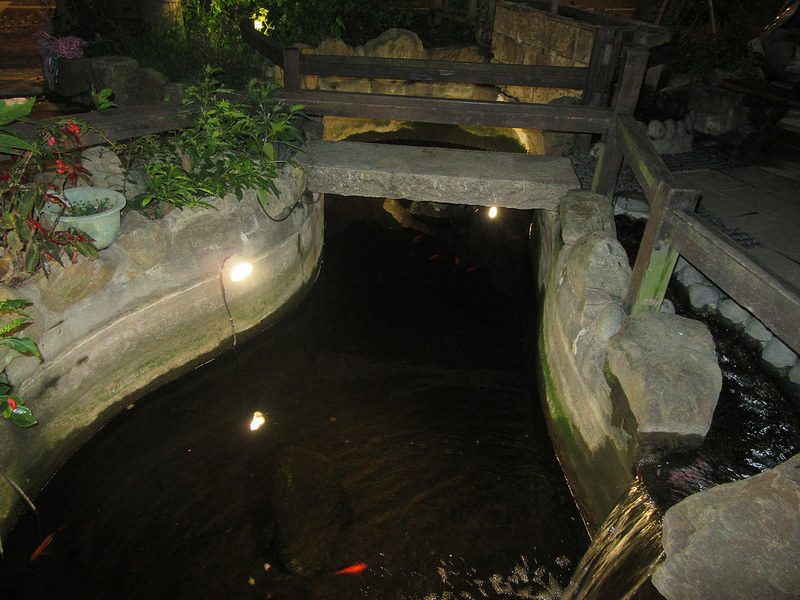 20170325_桃園活跳跳 (98)