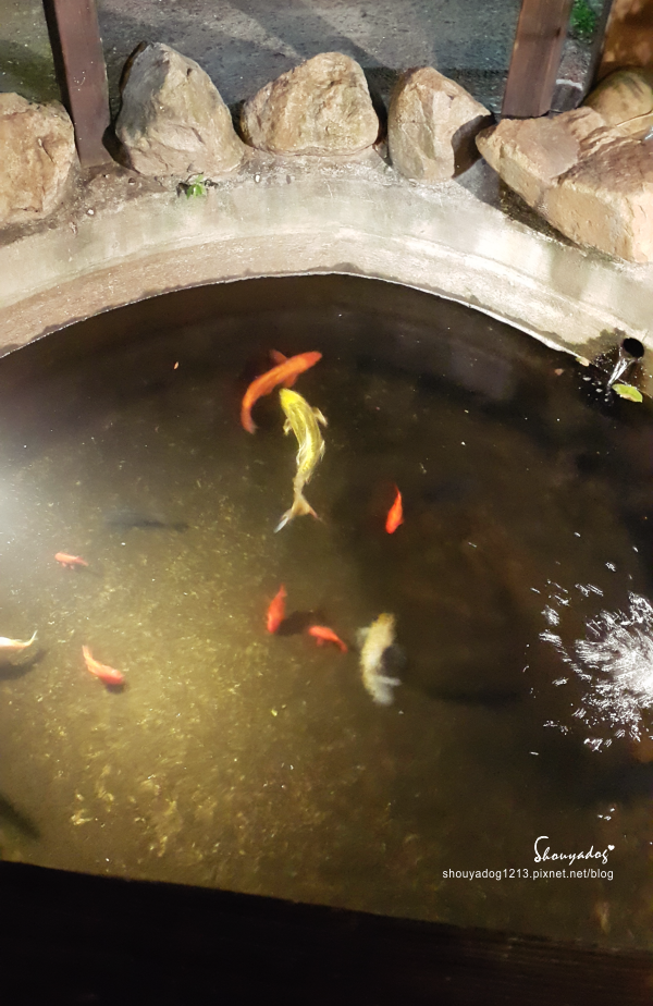 活跳跳活蝦餐廳：【海鮮餐廳】活跳跳活蝦餐廳的活蝦料理 in桃園市