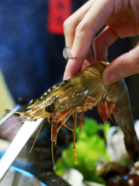 川老爺麻辣鍋 via Kate's FZ