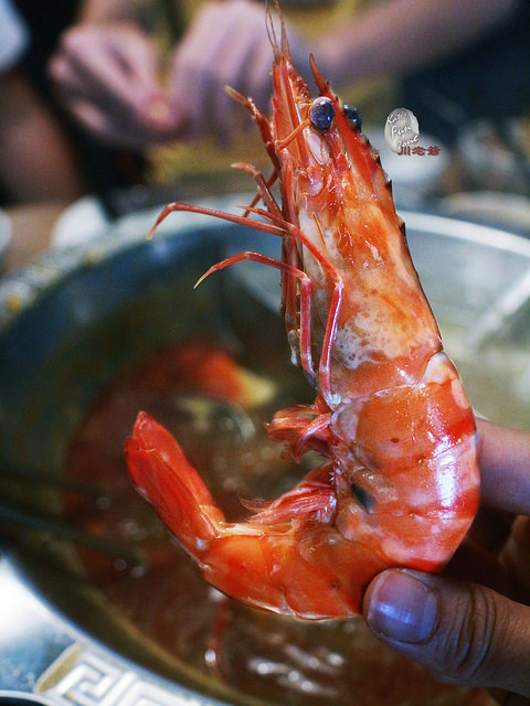 川老爺麻辣鍋 via Kate's FZ