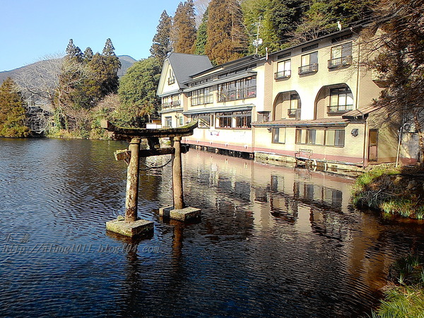 湯布院湯の坪街道(由布見通)：金麟湖 の   ..午后散策