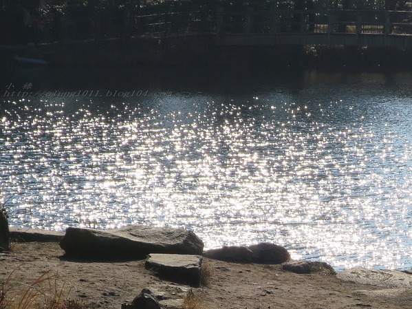 湯布院湯の坪街道(由布見通)：金麟湖 の   ..午后散策