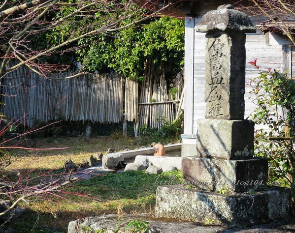 湯布院湯の坪街道(由布見通)：金麟湖 の   ..午后散策