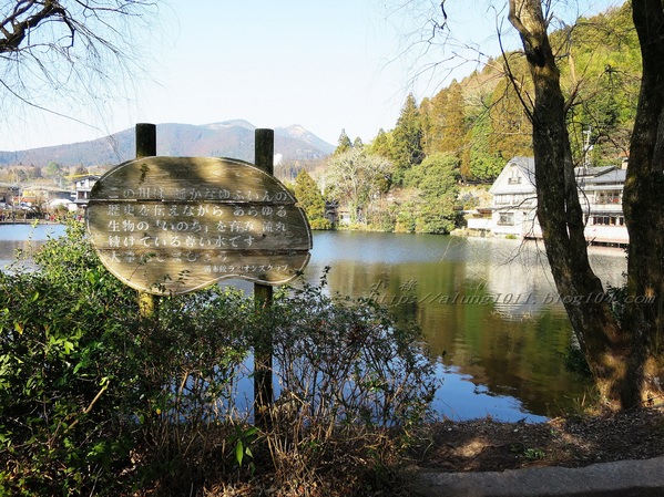 湯布院湯の坪街道(由布見通)：金麟湖 の   ..午后散策