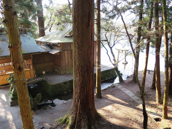 湯布院湯の坪街道(由布見通)：金麟湖 の   ..午后散策