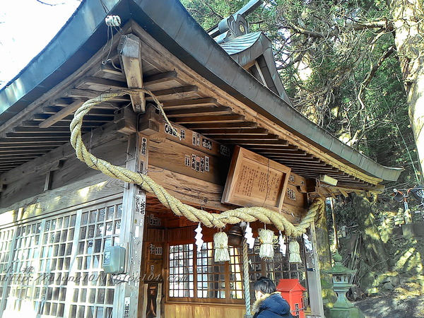 湯布院湯の坪街道(由布見通)：金麟湖 の   ..午后散策