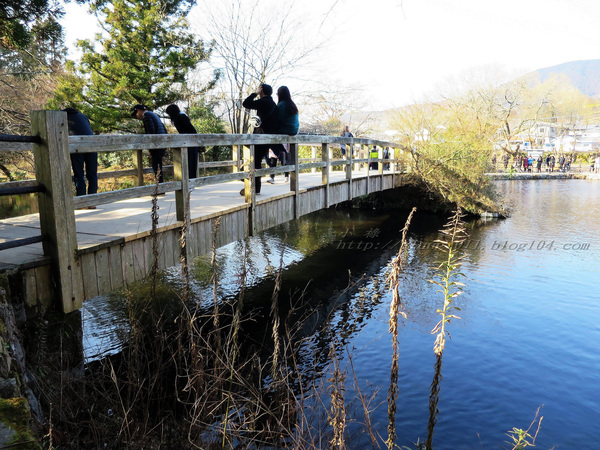 湯布院湯の坪街道(由布見通)：金麟湖 の   ..午后散策