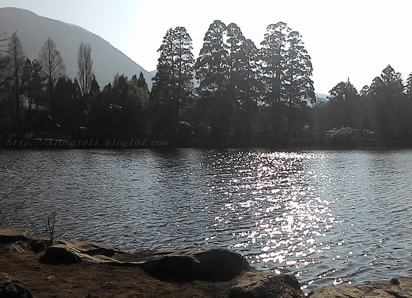 湯布院湯の坪街道(由布見通)：金麟湖 の   ..午后散策