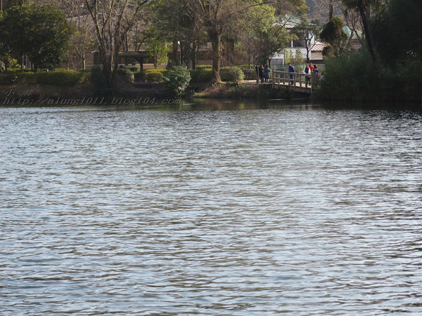 湯布院湯の坪街道(由布見通)：金麟湖 の   ..午后散策
