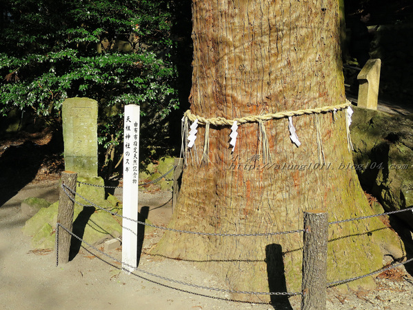 湯布院湯の坪街道(由布見通)：金麟湖 の   ..午后散策