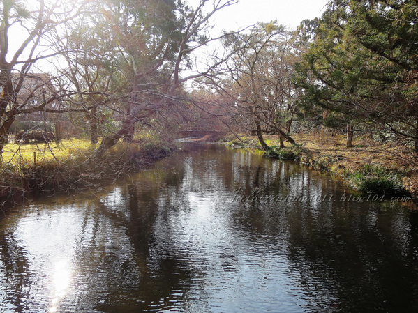 湯布院湯の坪街道(由布見通)：金麟湖 の   ..午后散策
