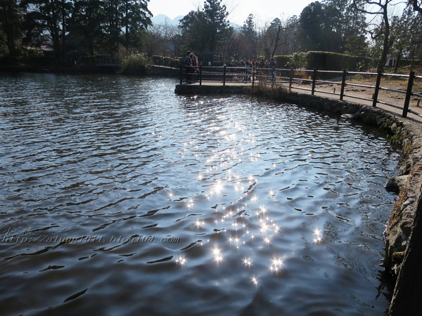 湯布院湯の坪街道(由布見通)：金麟湖 の   ..午后散策