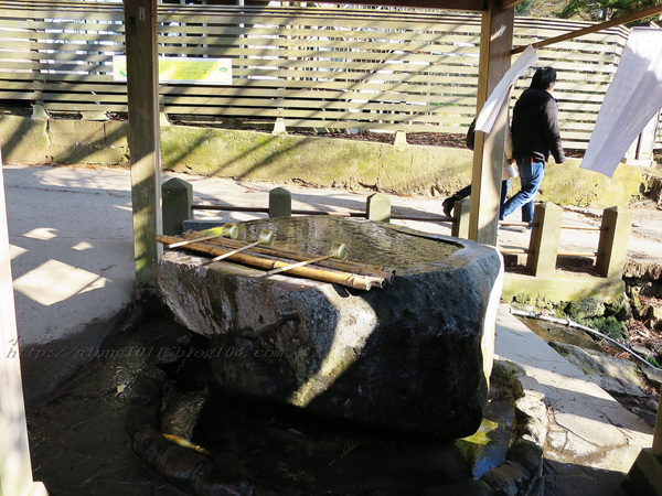 湯布院湯の坪街道(由布見通)：金麟湖 の   ..午后散策