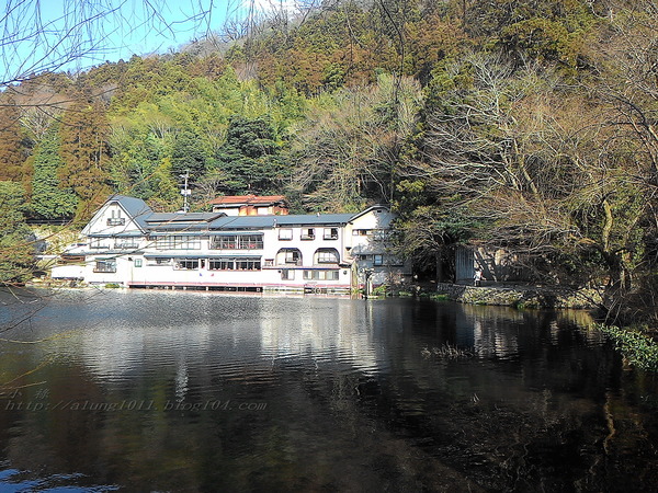 湯布院湯の坪街道(由布見通)：金麟湖 の   ..午后散策
