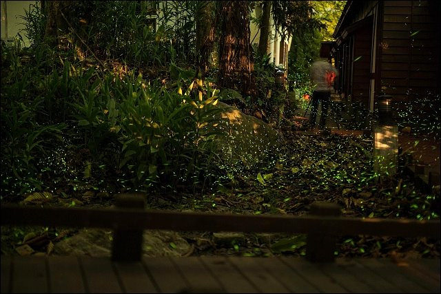 11163625_972473222764423_1238977583_o