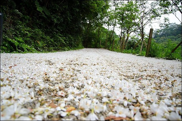 11154840_1121939644488207_6734082840606528970_o