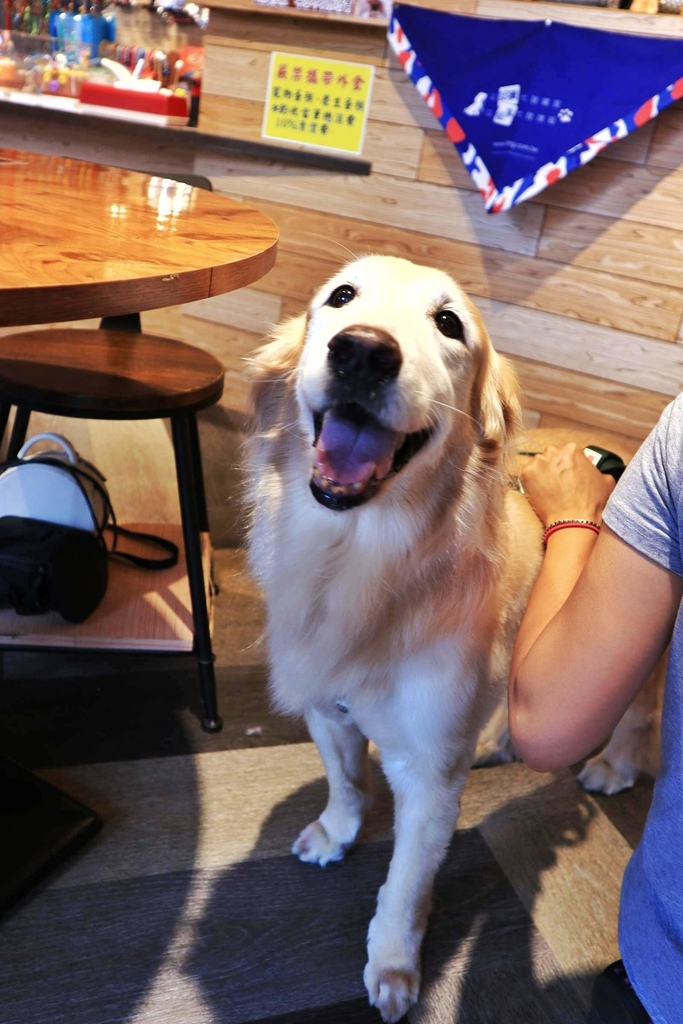 新北寵物餐廳DOG BOSS