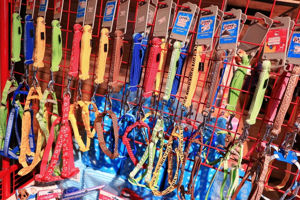 新北寵物餐廳DOG BOSS