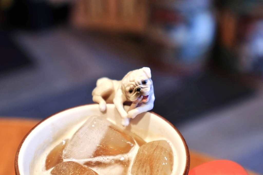 新北寵物餐廳DOG BOSS