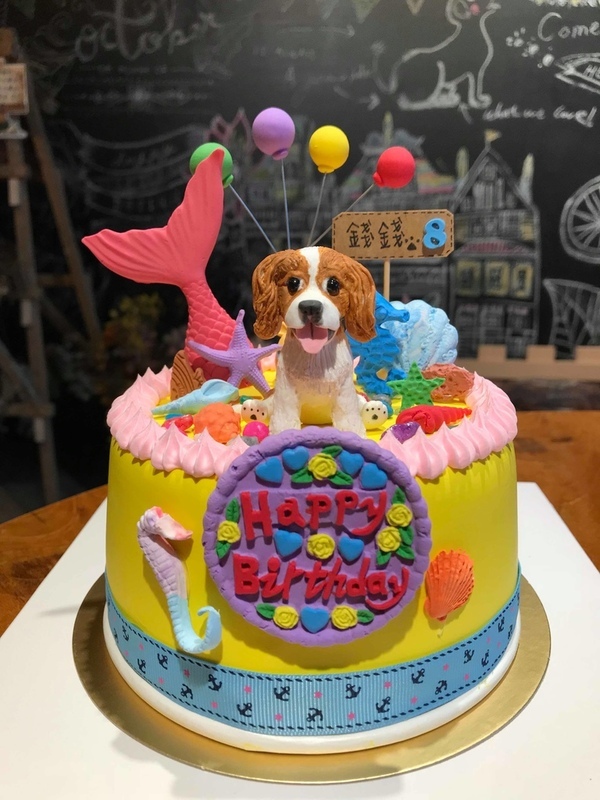 Dog Boss 寵物友善餐廳:【捷運美食】Dog Boss 寵物友善餐廳 現點現作餐點用心 旺星人開心玩翻天!客製寵物蛋糕/捷運景安站