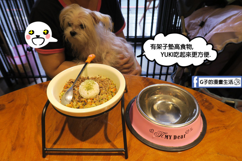 中和寵物餐廳-Dog Boss寵物友善餐廳,寵物鮮食有墊高架子 狗狗脖子不會酸