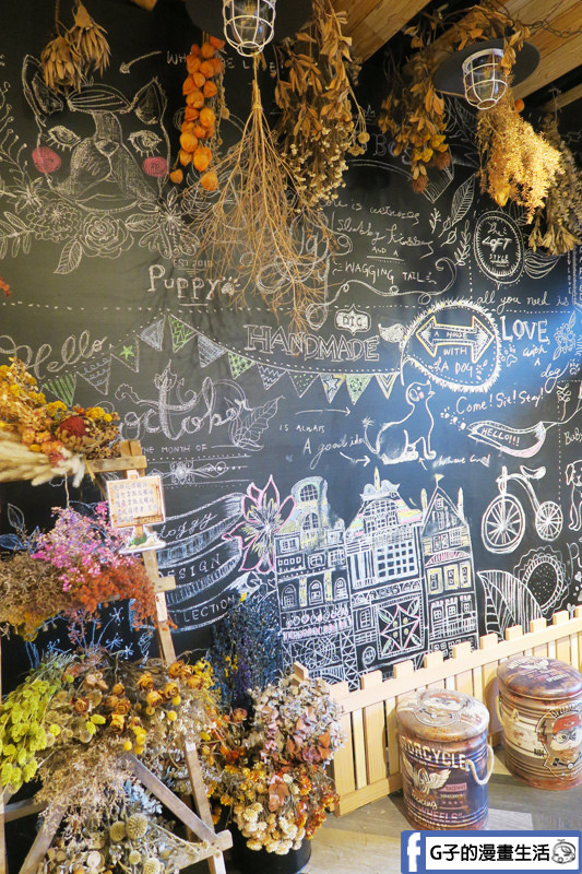 中和寵物餐廳-Dog Boss寵物友善餐廳.乾燥花布置網美牆 很適合拍照