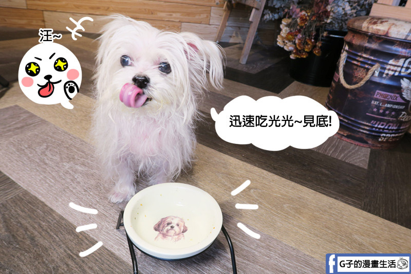 中和寵物餐廳-Dog Boss寵物友善餐廳,寵物鮮食YUKI吃光光 很便宜