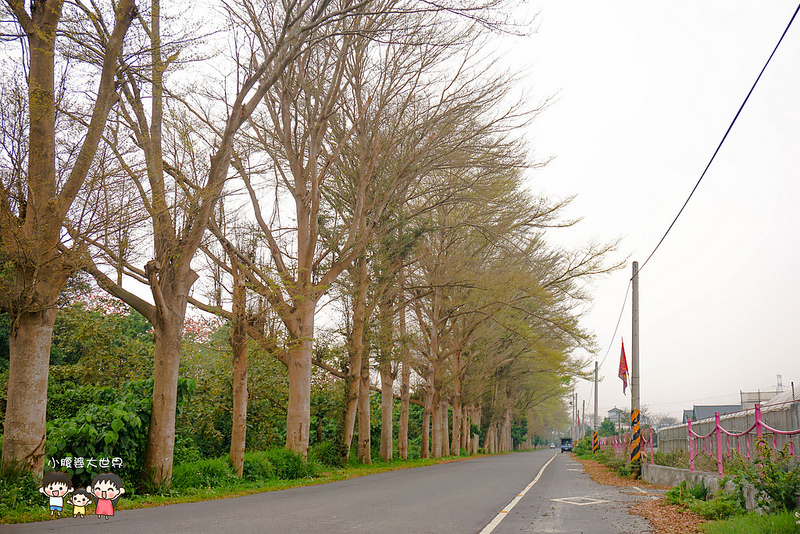 東螺溪空拍2 011