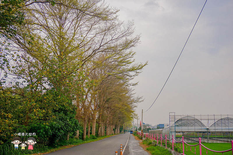 東螺溪空拍2 010