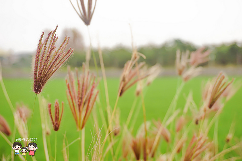 東螺溪空拍2 009